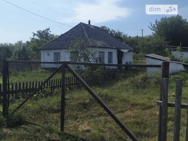 Залевки, вулиця Центральна 34961171