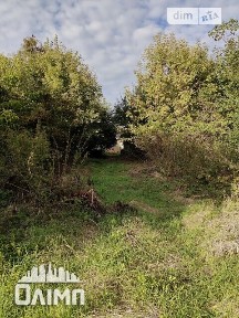 Продаж 1 поверхового будинку з ділянкою на 31 сотку, 35 кв. м, 1 кімната, на вул. Хмельницьке шосе 13 • ID 34963095