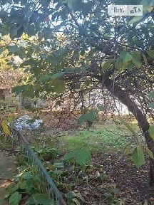 Продаж 2 поверхового будинку 98.8 кв. м, 5 кімнат, на вул. Генерала Небогатова 40А • ID 34962604