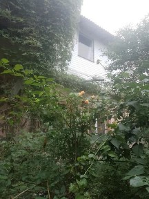 Продаж 2 поверхового будинку з ділянкою на 2 сотки, 88 кв. м, 3 кімнати, на вул. Братів Вільшинських • ID 34961736