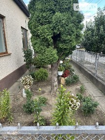 Черешнева вулиця, Виноградів, вул. Черешнева 34963925