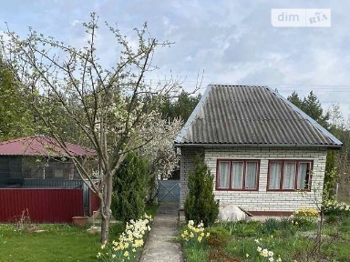 Курники, Кооператив 