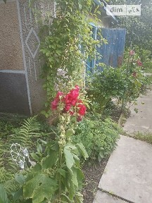 Продаж 1 поверхового будинку з верандою і ділянкою на 25 соток, 90 кв. м, 4 кімнати, на Гранична, 7 • ID 34966988