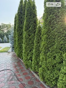 Магістральна вулиця, Жмеринка, вул. Магістральна, площа 285 кв. м 34533040
