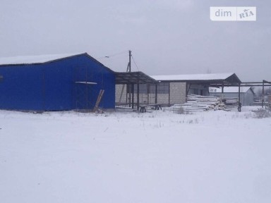 Шевченка вулиця, Димер, вул. Шевченка 84А, площа 1500 кв. м 33275938