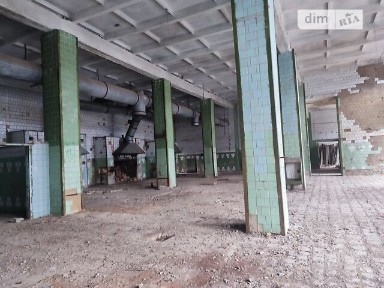 Продаж комерційного приміщення на вул. Київська, площа 2200 кв. м • ID 32458642