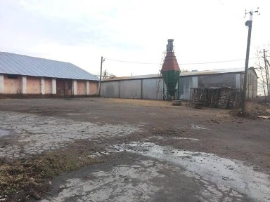 Продаж комерційного приміщення на вулиця Центральна, площа 1800 кв. м • ID 32335869