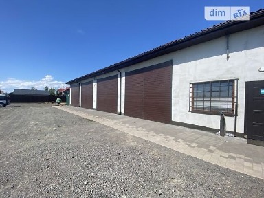 Головна, Ужгород, площа 288 кв. м 31702141