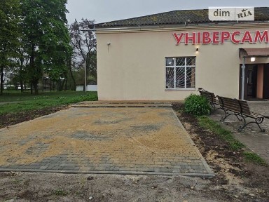 Продаж комерційного приміщення на вул. Центральна 92, площа 250 кв. м • ID 31366189