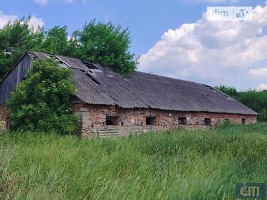 Здається спеціальне приміщення на вул. Небесної сотні, площа 1800 кв. м • ID 34969497