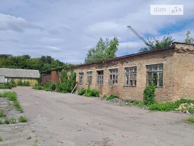 Здається спеціальне приміщення на вул. Аеродромна 11, площа 268.7 кв. м • ID 34971121