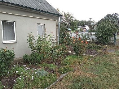 Продаж 1 поверхового будинку бесідка і ділянкою на 24 сотки, 60 кв. м, 3 кімнати, на вул. Червона 8 • ID 34971138