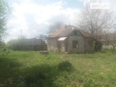 Лесі Українки вулиця, Ільниця, вул. Лесі Українки 46 34971150
