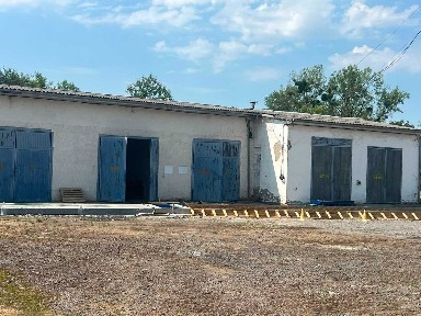 Закарпатська область, Берегове