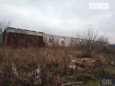 Продаж спеціального приміщення на вул. Житомирська, площа 600 кв. м • ID 34973981