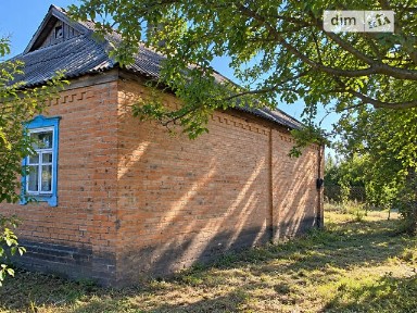 Центральна вулиця, Степне, вул. Центральна 34977396