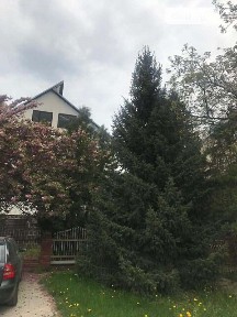 Продаж 2 поверхового будинку з верандою і ділянкою на 6 соток, 200 кв. м, 3 кімнати, на вул. Фруктова • ID 34976328