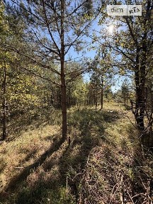 Продаж 1 поверхового будинку з ділянкою на 12 соток, 127 кв. м, 3 кімнати, на вул. Березова 56 • ID 34976141