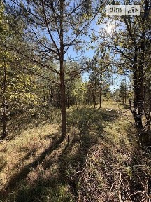 Продаж 1 поверхового будинку з ділянкою на 12 соток, 127 кв. м, 3 кімнати, на вул. Березова 56 • ID 34976141
