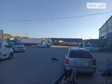 Здається комерційне приміщення на вул. Пирогова 151, площа 140 кв. м • ID 34978243
