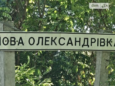 Нова Олександрівка, ягіда 3 34977840