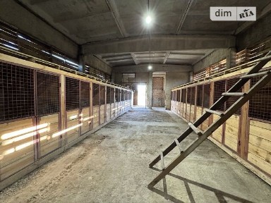 Продаж спеціального приміщення на Вишнева, площа 380 кв. м • ID 34982853