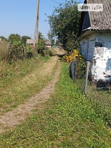 Синьків, Якова Миколаєвича 17 34987120