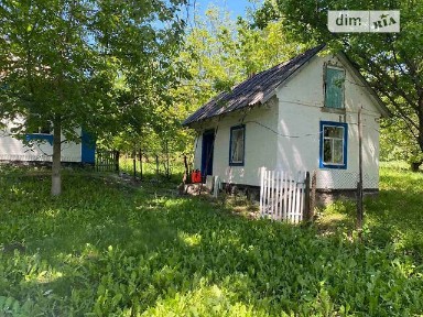 Петрики, Набережна 34986161