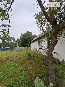 Продаж 1 поверхового будинку з ділянкою на 15 соток, 42 кв. м, 3 кімнати, на вул. Круча 14 • ID 34987449