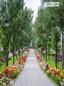 Довготривала оренда 1к квартири на бул. Лесі Українки 24 • ID 34990637