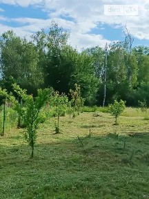 Чернігів, вулиця Затишна 34990932