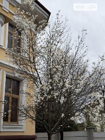 Продаж 4 поверхового будинку з ділянкою на 42 сотки, 912 кв. м, 10 кімнат, на вул. Центральна 1 • ID 34990903
