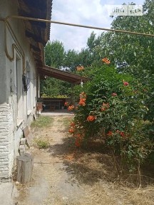 Комарова вулиця, Котляреве, вул. Комарова 34990097
