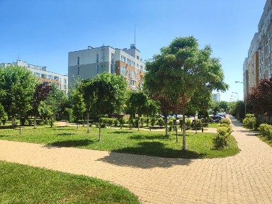 Здається однокімнатна квартира