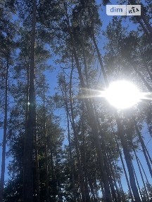 Соборна вулиця, Гостомель, вул. Соборна 16 34991058