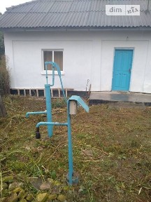 Продаж 1 поверхового будинку з ділянкою на 50 соток, 45 кв. м, 2 кімнати, на вул. Київська русь 32 • ID 34992453