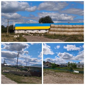 Срочно. Цена снижена. Продам действующие фермы с производством
