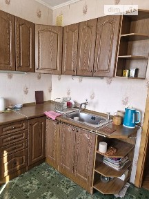 Довготривала оренда 1к квартири на вул. Петра Панча 9 • ID 34092885