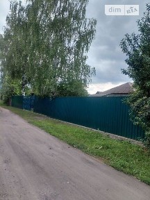 Продаж 1 поверхового будинку з ділянкою на 19 соток, 48 кв. м, 2 кімнати, на вул. Грушевського • ID 34996165