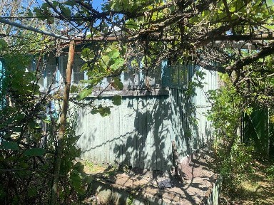 Дачка, ну зовсім бюджетна. Приватизовані 12 сот. Від Білої Церкви 14 км на схід.