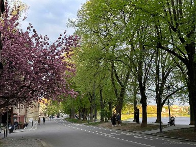 Квартира на Набережній. Історичний центр.