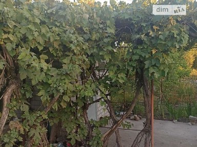 Продаж 1 поверхового будинку 600 кв. м, 2 кімнати • ID 34995511