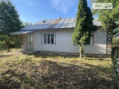 Продаж 1 поверхового будинку з ділянкою на 33 сотки, 46.4 кв. м, 2 кімнати, на вулиця Шевченка 1 • ID 35000316