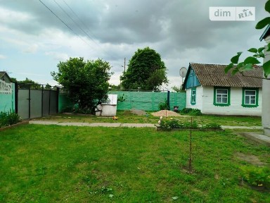 Продаж 1 поверхового будинку з ділянкою на 1.1 га, 55 кв. м, 3 кімнати, на Шкільна • ID 35000541