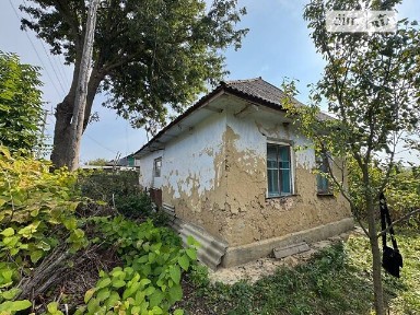 Продаж 1 поверхового будинку з ділянкою на 35 соток, 44.3 кв. м, 2 кімнати, на вул. Центральна • ID 35003288