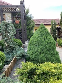 Продаж 1 поверхового будинку бесідка 1 кв. м, 6 кімнат • ID 35008345