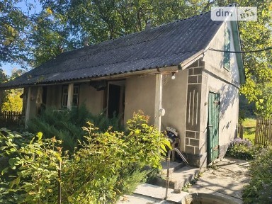 Продаж 1 поверхового будинку з верандою і ділянкою на 42 сотки, 43 кв. м, 4 кімнати, на вулиця Лісова • ID 35009988
