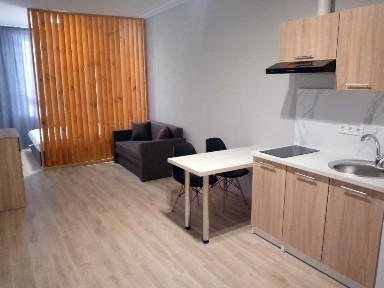 Оренда 1-кімнатної квартири 26 м², Балукова вул., 1б