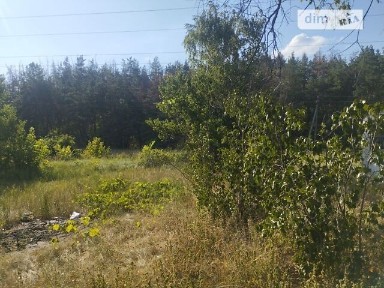 Продаж 1 поверхового будинку з ділянкою на 15 соток, 60 кв. м, 3 кімнати, на вул. Святоіллінська • ID 35016615