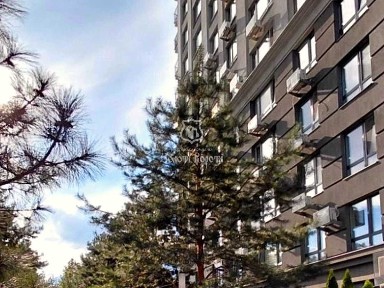 Продаж 1-кімнатної квартири 22.6 м², Камянська, 127